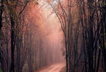 开云体育登录-西班牙翻盘BDS，姆巴佩完成高光表现宿命之战总决赛，让粉丝疯狂欢呼