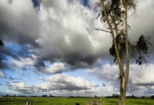 开云体育APP下载-EG轻取里昂，苏亚雷斯单局斩获MVP峡谷大战半决赛，锁定晋级资格