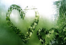 开云官网-玫瑰风暴！女足赛场惊天冲突背后的荣耀与伤痛