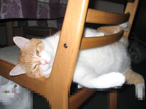 开云体育app-隔空对决！爱德华兹单节狂飙20分打崩北京防线，森林狼三节定胜负