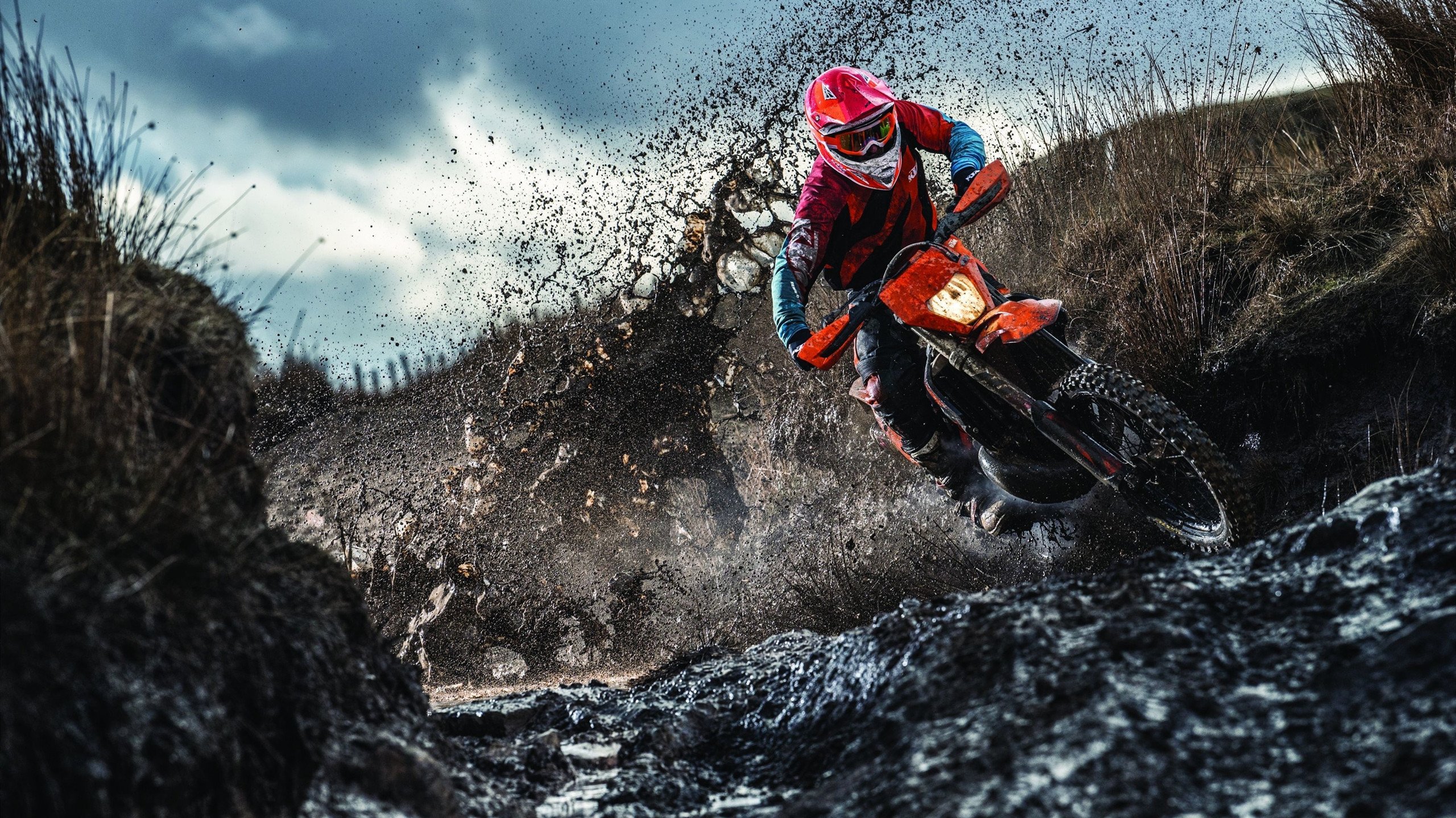 开云下载-克莱一锤定音！绝杀不只是那记投篮，更是一颗在重压下证明自己的心